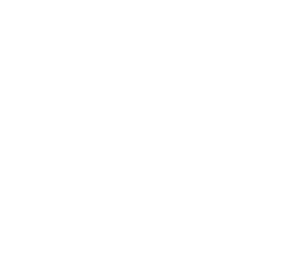 le shaman logo group icon white 1