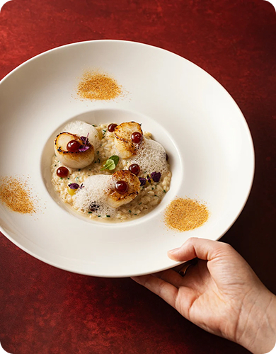 plat attilio